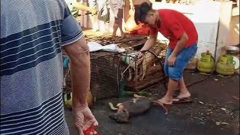 Gukguk Panggang - Pasar Ekstrem, Tomohon, Sulawesi Utara