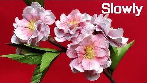 ABC TV | How To Make Double Cherry Blossom Flower With Shape Punch (Slowly) - Craft Tutorial