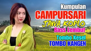 Kumpulan Cdanursari Dangdut Jawa Koplo Bass Empuk Lembut Tombo Kesel Tombo Kangen