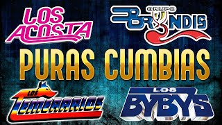 Megamix Lo Mejor De Los Bybys, Grupo Bryndis, Guardianes Del Amor, Los Acosta Y Mas