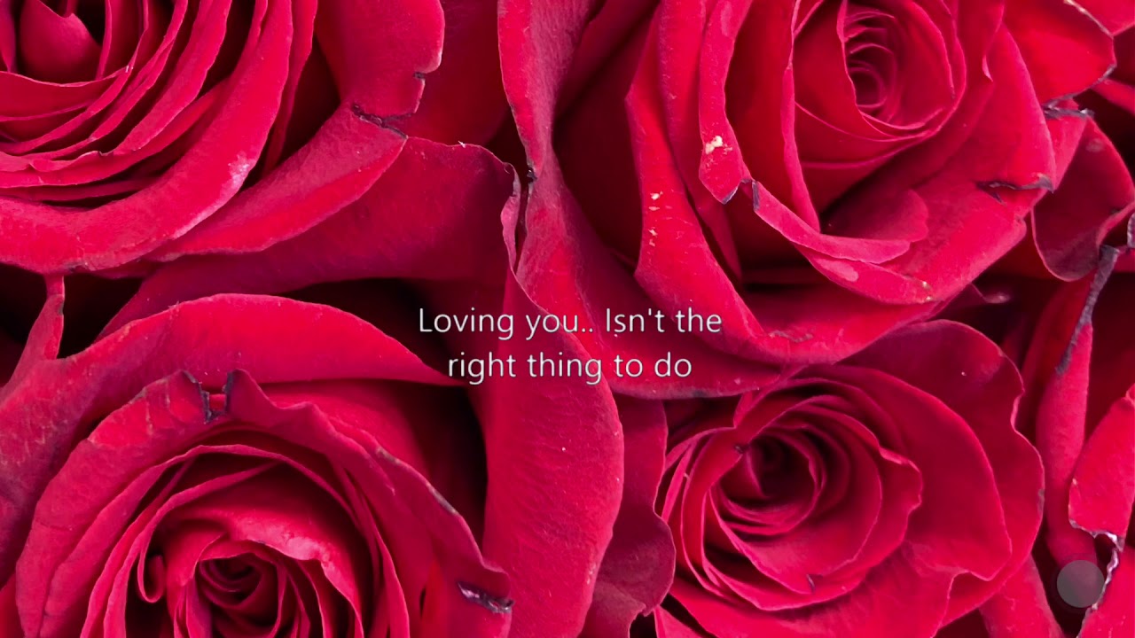 Go Your Own Way Lyrics Fleetwood Mac YouTube