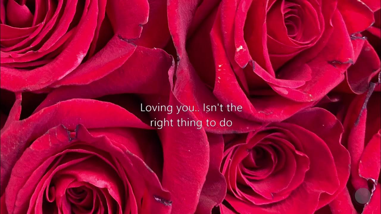 Go Your Own Way Lyrics Fleetwood Mac YouTube