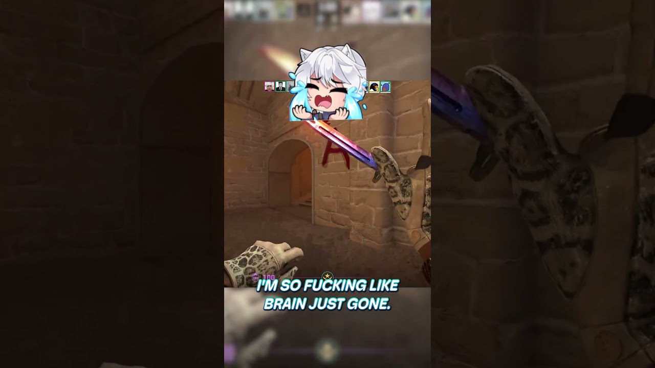 No Brain just bullet