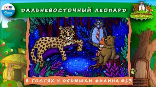 🐆 Дальневосточный леопард | В гостях у дядюшки Филина (🎧 АУДИОСКАЗКА) Выпуск 13