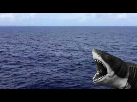 Shark Jumps Up from water  -animation greenscreen with audio--H.D,