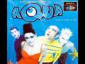 Aqua aquarium track five