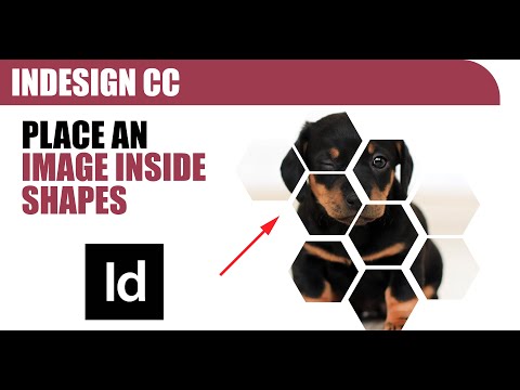 How to place an image inside MULTIPLE shapes - Adobe InDesign