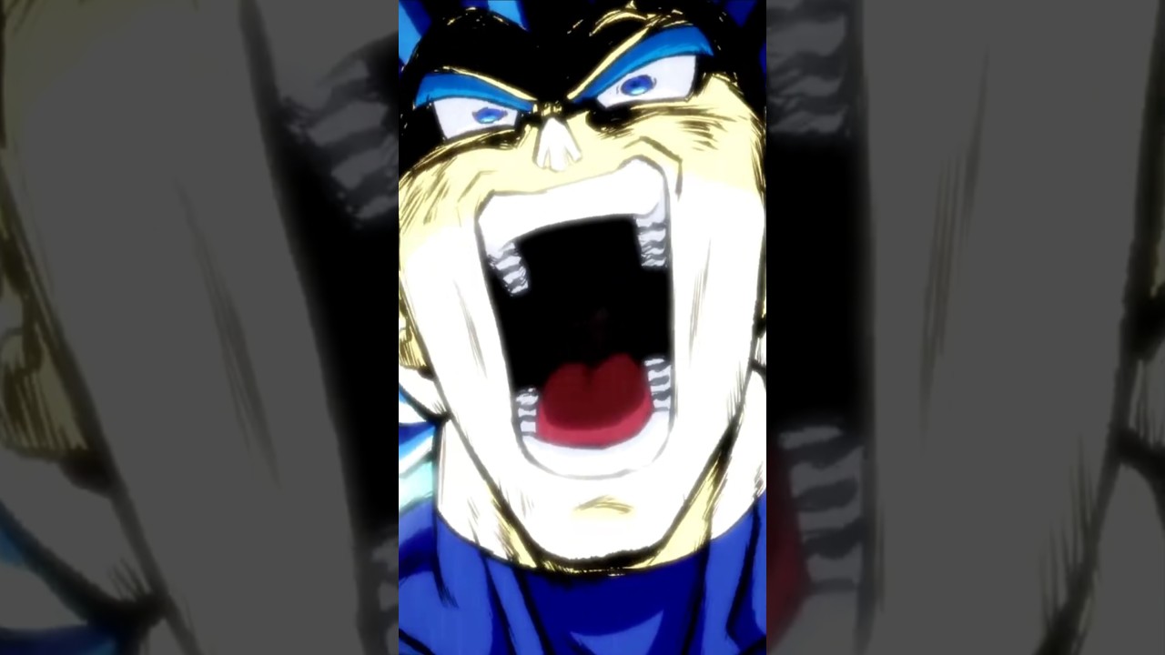 LR PHY Evolution Blue Vegeta + UI Goku Active Skill