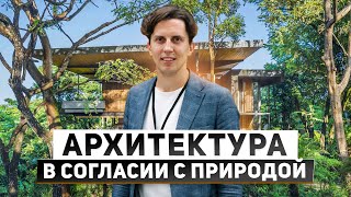 Архитектура в согласии с природой. Бионическая архитектура. Дома А-класса