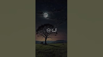 اكتب شيء تؤجر عليه 😴💚 قران كريم | ياسر الدوسري