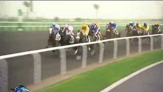 2011 Godolphin Mile(G2) Skysurfers(GB) screenshot 3
