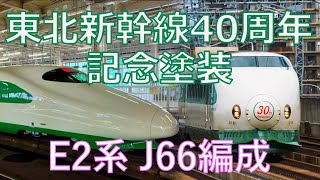 ついに公開！！E2系J66編成 新塗装の200系デザイン！！