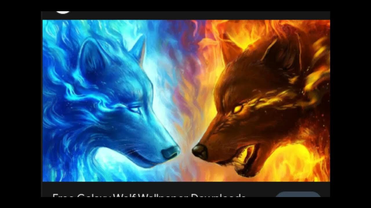 I m the alpha i m the leader youtube