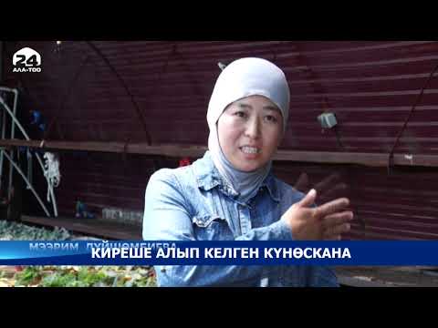 Video: Күчөтүлгөн күнөскана: анын жөнөкөйдөн эмнеси менен айырмаланат, туурасы 2 метр 