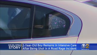 21-Month-Old Boy Remains In Critical Conditions After Shooting On Lake Shore Drive
