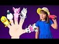 Finger family song with animals  kids songs and nursery rhymes  hey dana