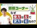 【質問コーナー】みなさんからの質問にお答え!なぜ資産と費用は左側なの?