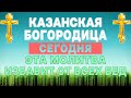 ДАЖЕ НЕ ДУМАЙ ПРОПУСТИТЬ ЭТУ МОЛИТВУ! ПРАЗДНИК КАЗАНСКОЙ БОГОРОДИЦЫ. СИЛЬНАЯ ПОМОЩЬ И ЗАЩИТА