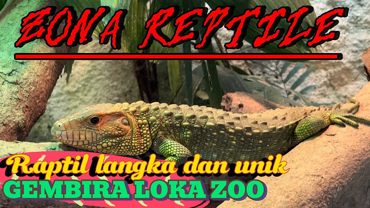Kebun binatang Gembira loka zoo Part 3,,zona reptile banyak reptile keren dan unik,,mantapppp