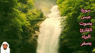 سورة عبس بصوت القارئ/ البراء بصفر - Surat Abas
