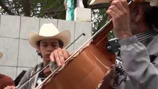 EL GUSTO Gorrión Serrano en el festival del Huapango Arribeño Xichú [2014]
