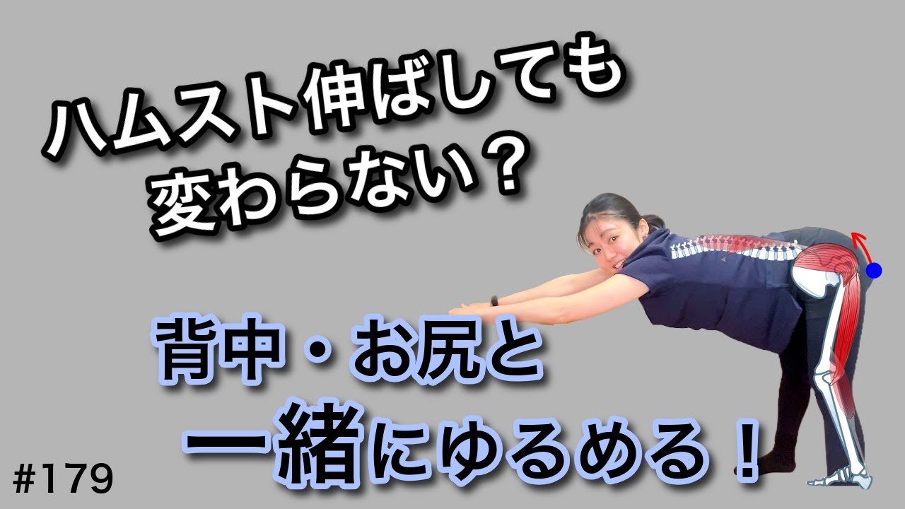 「効かないストレッチ」になってない？ハムストリングと背中を一緒に伸ばすだけで変わる理由｜179
