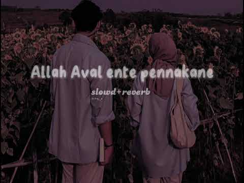 Allah Aval ente pennakaneslowedreverb  trending  romantic  slowed  viral  youtubeshorts  love