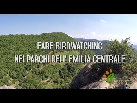 Fare Birdwatching nei Parchi dell'Emilia Centrale