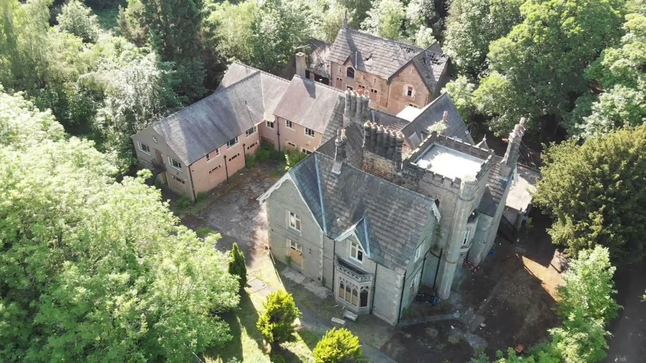 Chelsea Park Sheffield ( Sorry Tree  For Hitting You )