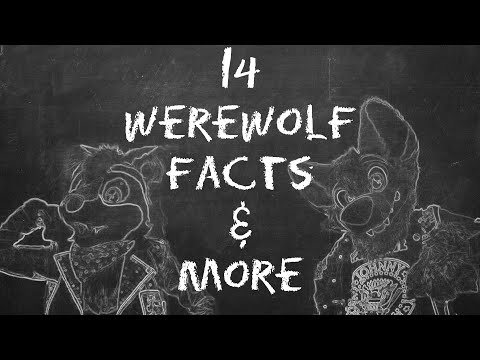 Werewolf 101 w/ClockieRaccoon! 14 Facts About Werewolves & More 🐺 thumbnail
