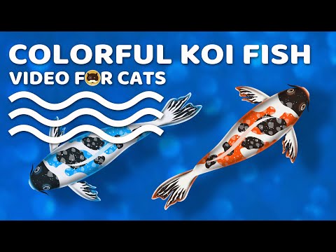 cat-games---colorful-koi-fish.-videos-for-cats-to-watch.