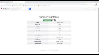 CS50x Final Project: Birdserver