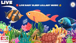 🔴 LIVE Baby Sleep Lullaby Music 🐠 Underwater Fish Animation & Calming Sleep Sounds