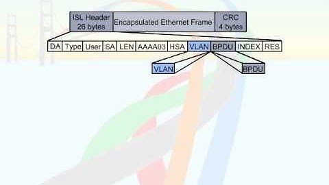 448   40  VLAN and Trunking   09  Trunking Protocols
