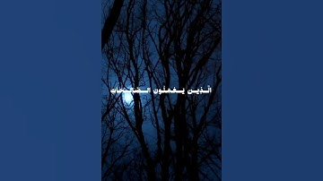 تلاوة راءعه للقرأن الكريم  #quran #viral #viralvideo #viralshort