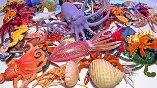 200 Sea Animals - Octopus, Squid, Hermit Crab, Seahorse, Crab, Jellyfish, Cuttlefish, Shrimp