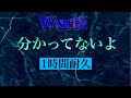 分かってないよ/WurtS 1時間耐久