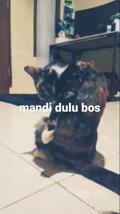 ngintip mandi #mandi #ngintip #leslar