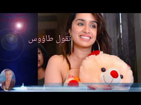 الفنان احمد فيصل حالت واتساب