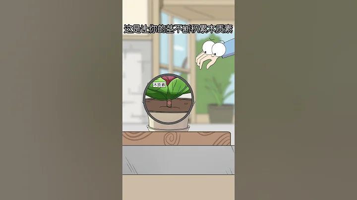 好看還能吃的花，適合送老婆嗎？#羽衣甘藍 - 天天要聞