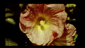 MPU101 - 3100beta2 [ITX036]