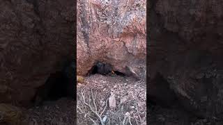 Vekol Mine — Clearing Another Adit and Squeezing Into the Entrance