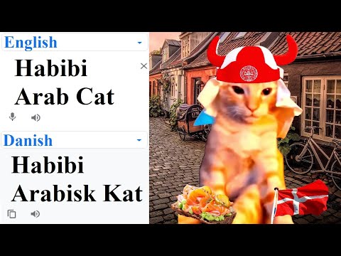Video: CAT In Danese