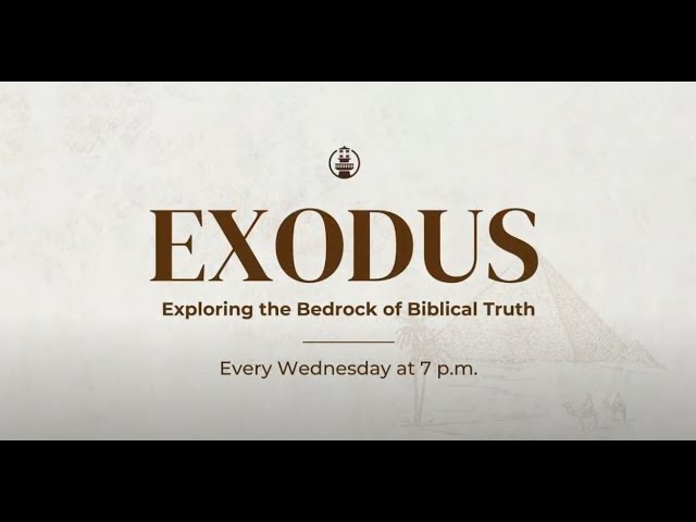 Exodus: Provisions - Part 16 class=