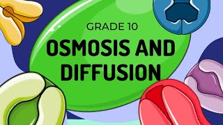 Diffusion and Osmosis