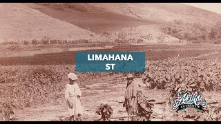 Limahana St.