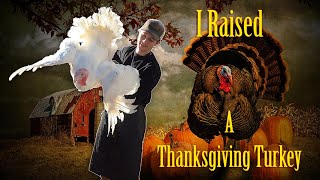 I Raised A Thanksgiving Turkey