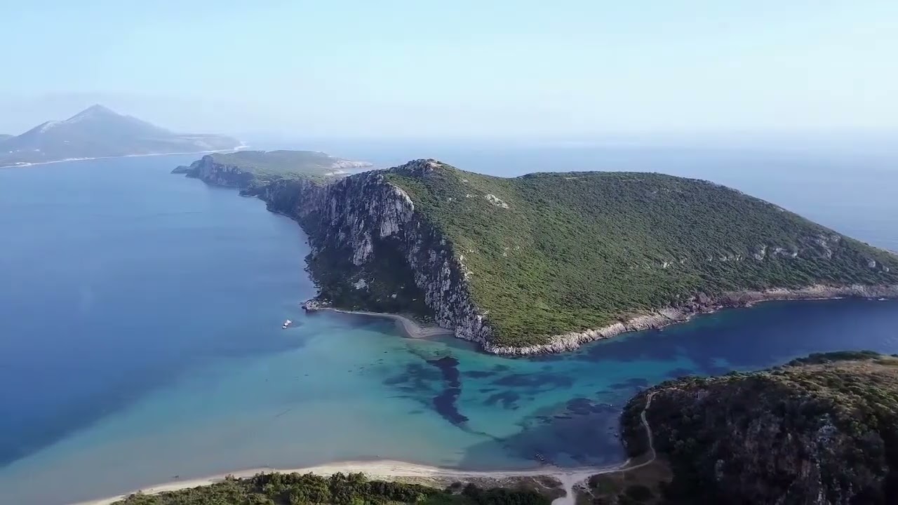 Calm, Hyperfocus 🌲 Celtic & Classical Lofi