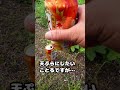 第1回 ツー散歩