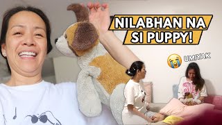 MOST REQUESTED! NILABHAN KO NA ULIT SI PUPPY! 🐶 | Haidee and Hazel